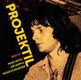 Pavel Roth a Projekti