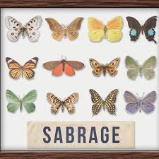 SABRAGE